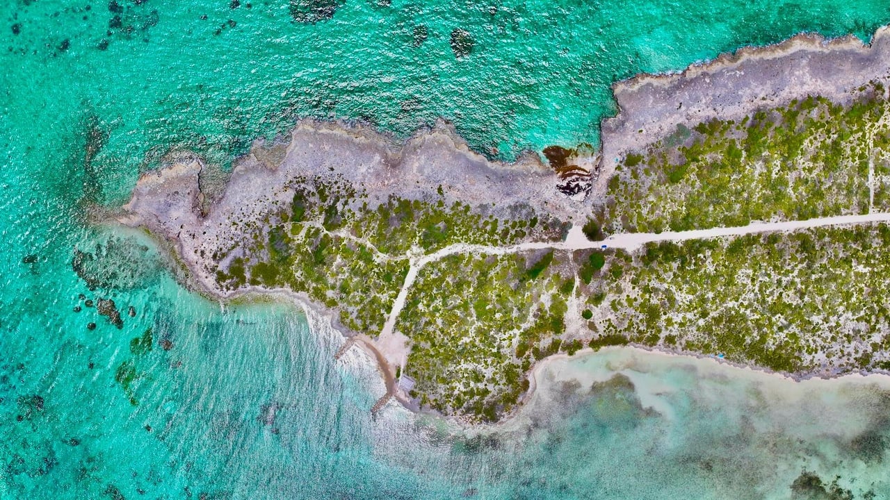 Tarpon Point-Ambergris Cay
