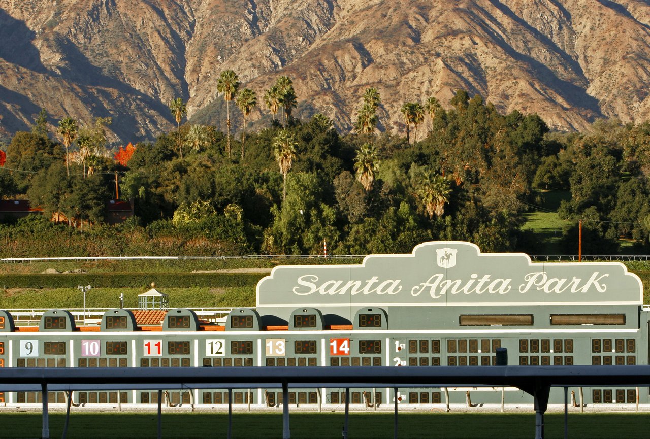 A horse racing track with snow-capped mountains in the background. The track is oval-shaped and made of dirt.