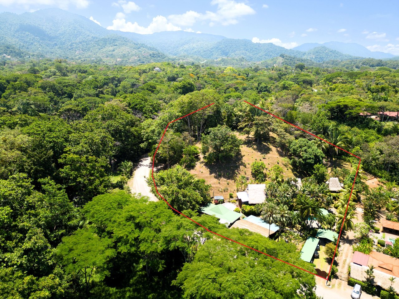 A MONEY MAKER! Location, home, guest cabins, with a SUCCE$$FUL exclusive distribution agency!