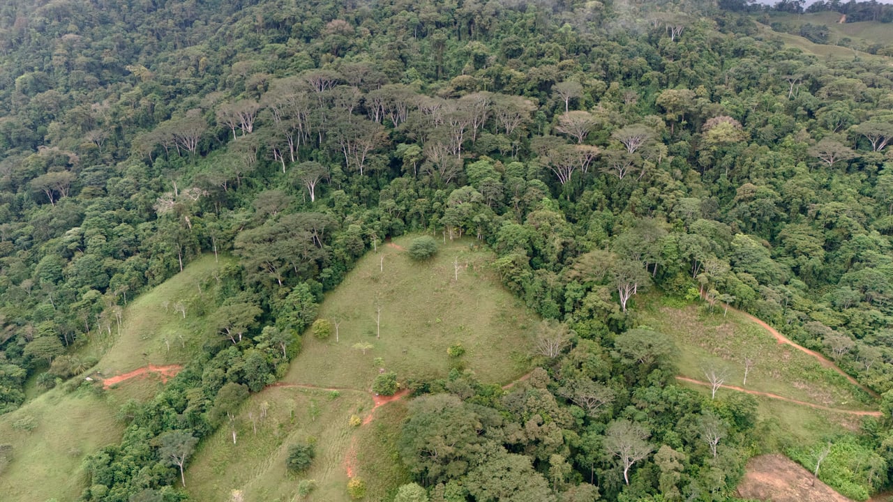 Over 123 Acres Farm in San Josecito De Morete, in Uvita Mountains