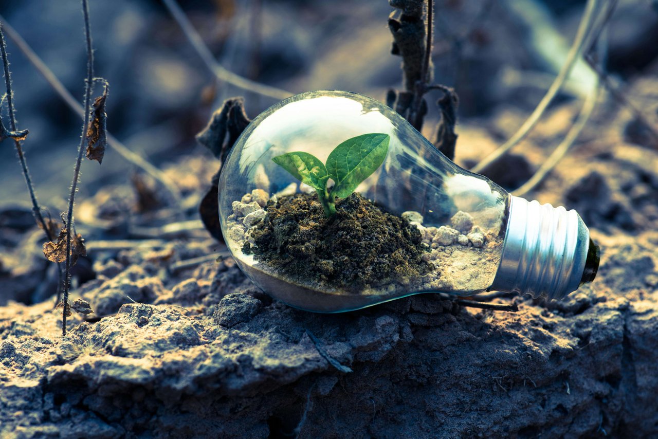 Green Living in the Suburbs: Eco-Friendly Practices Thrive in Westchester
