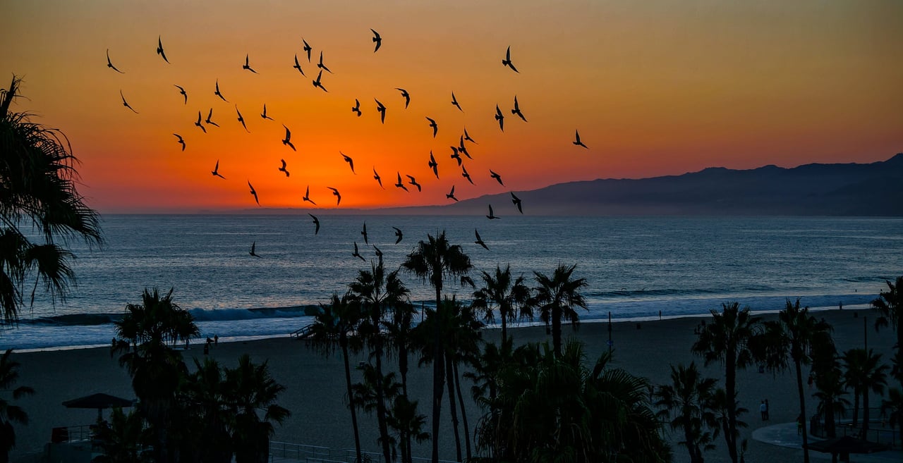 Venice Beach