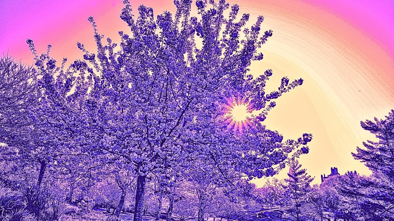 Will global upheaval tank the spring market? The Download