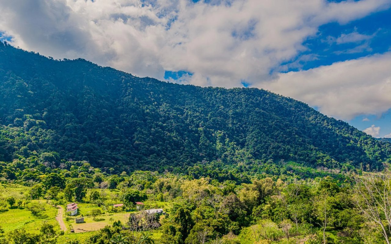 Off-Grid Regenerative Homestead, Perez Zeledon, San Jose