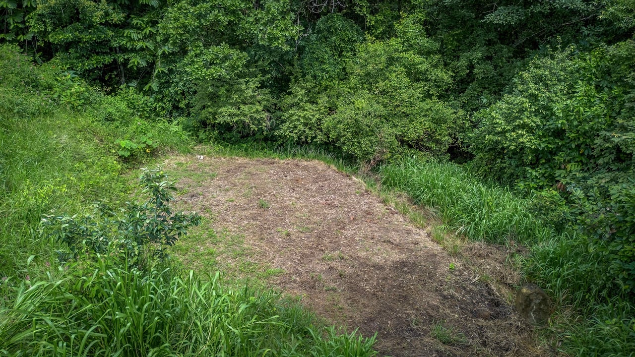 Tierra Bendita, 2.5 Acres of Usable Land with Exisiting Home and River Access!