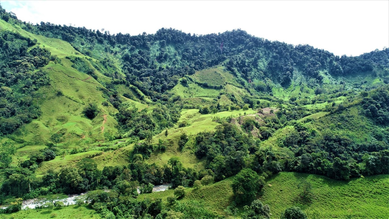 Riverfront Forest Farm, Perez Zeledon, San Jose