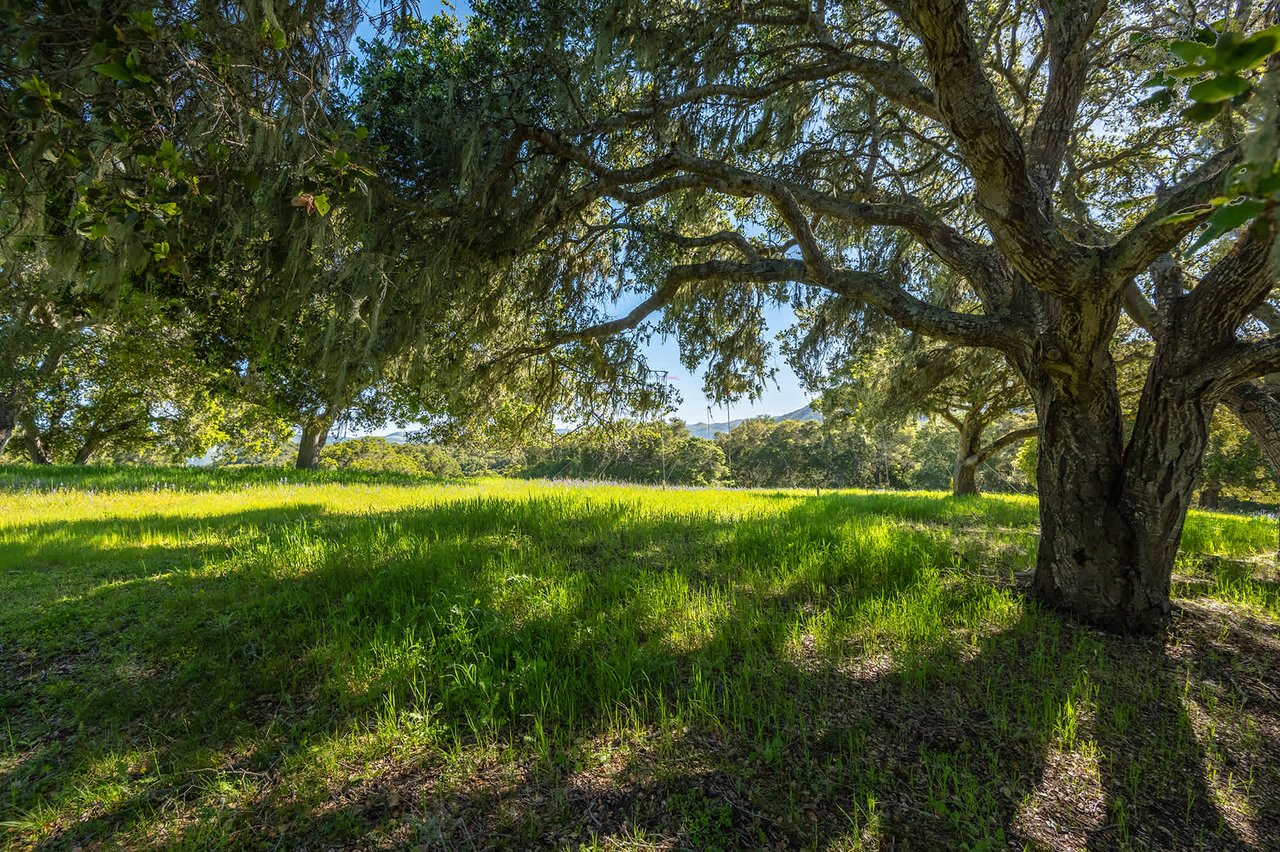 9 Mesa Trl - Preserve Lot With Plans