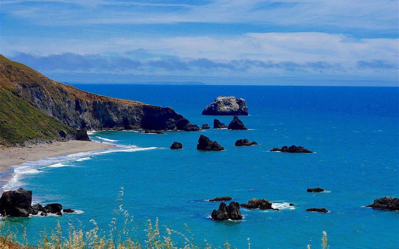Bodega Bay