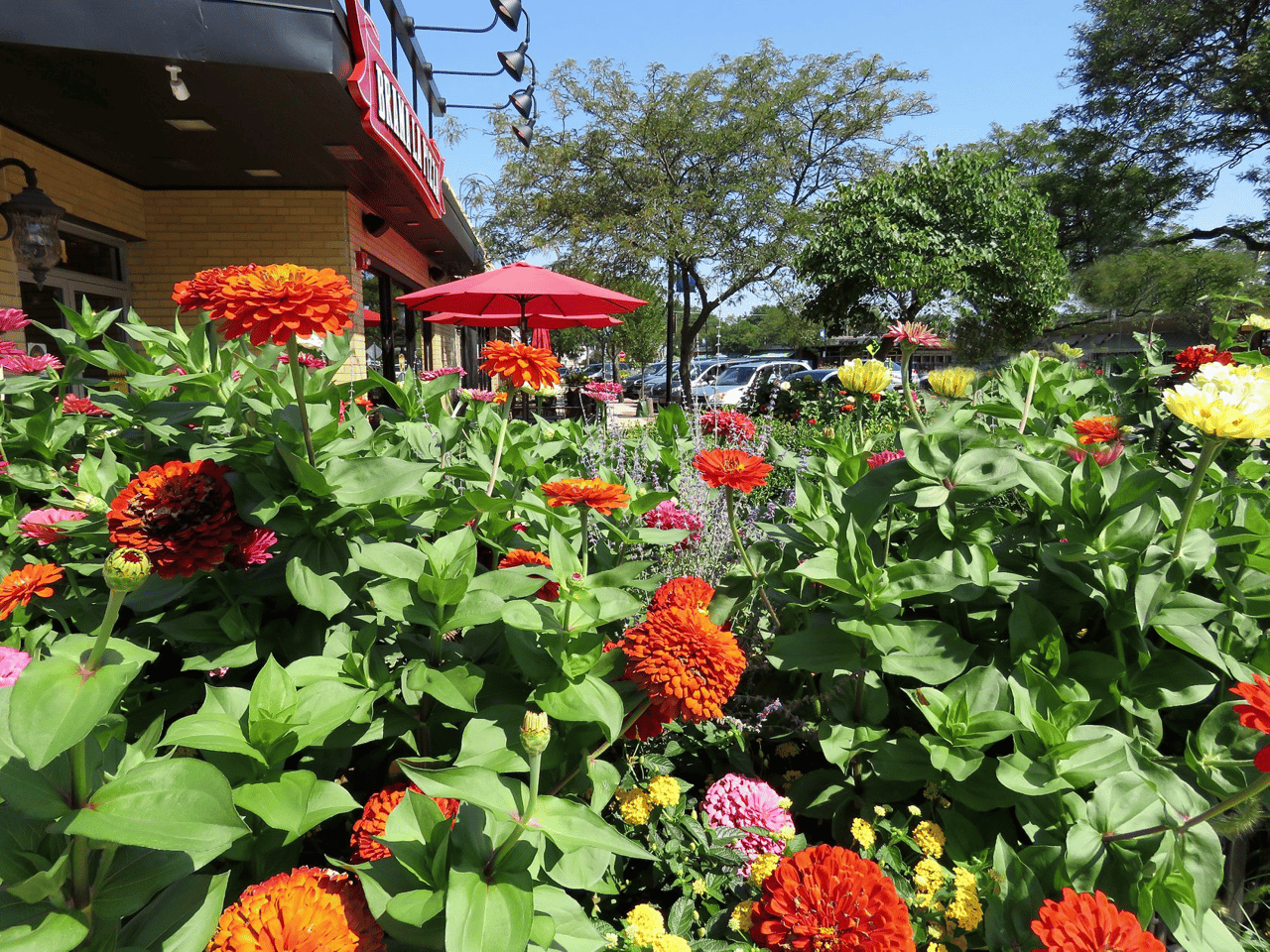 Clarendon Hills