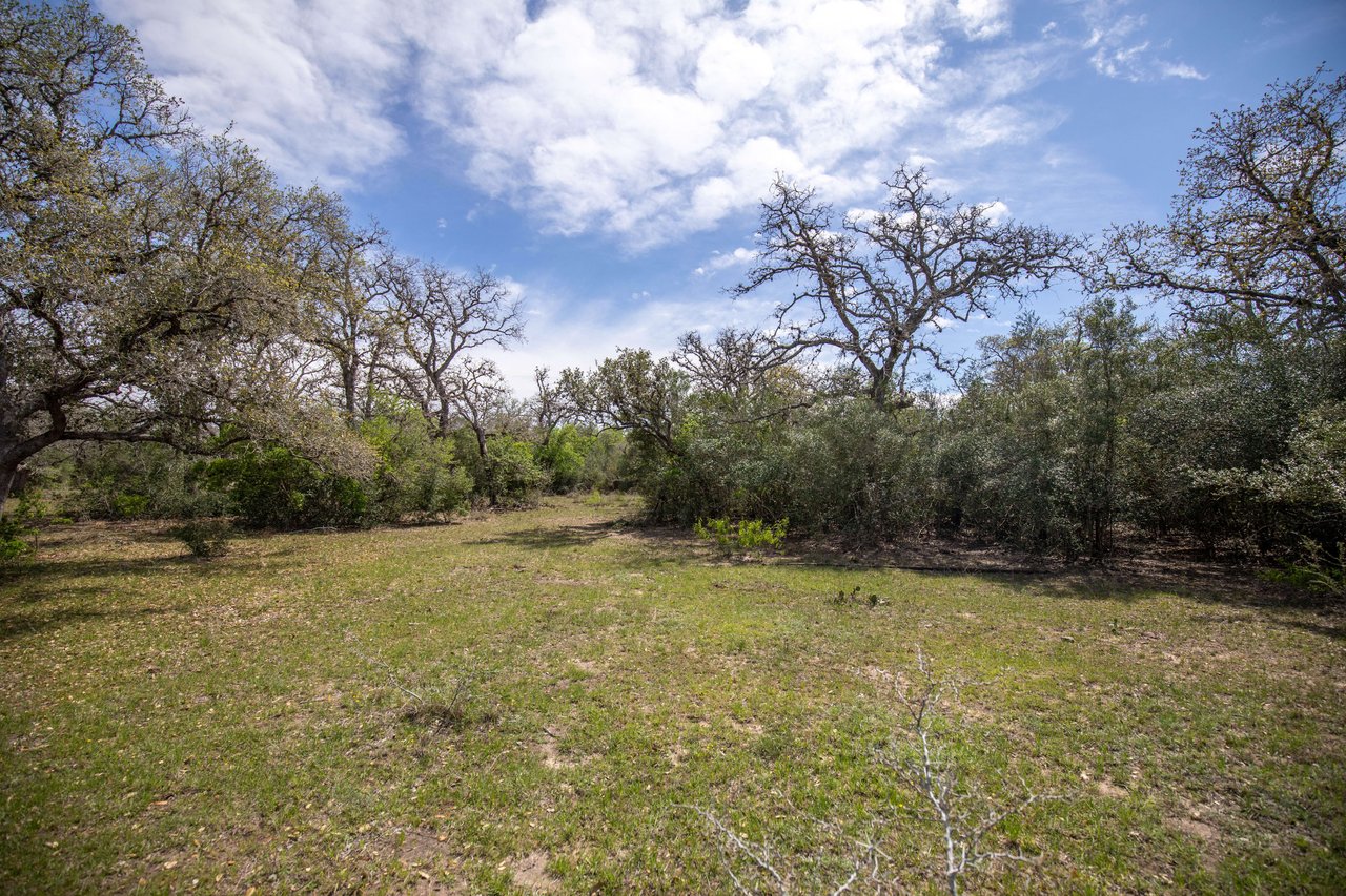 Weesatche 110 Acres