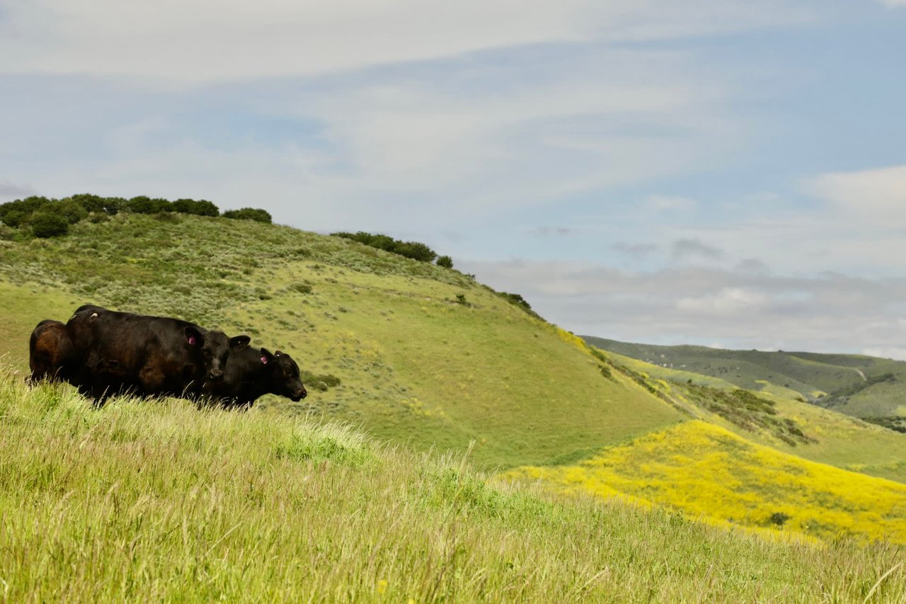 La Hoya Creek Ranch