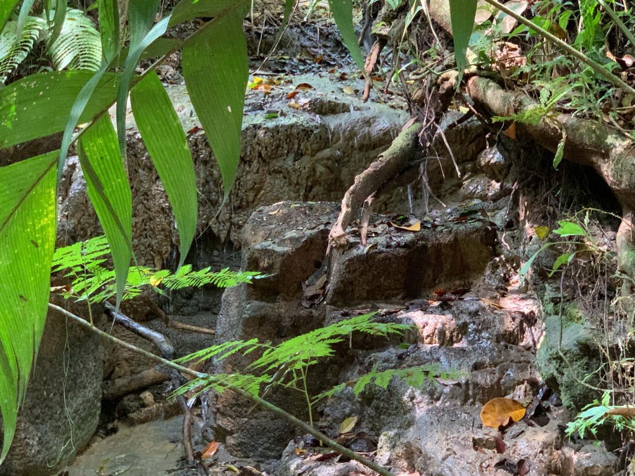 Prime 286-Acre Ocean View Property for Sale Near Quepos, Costa Rica – Ideal for Development