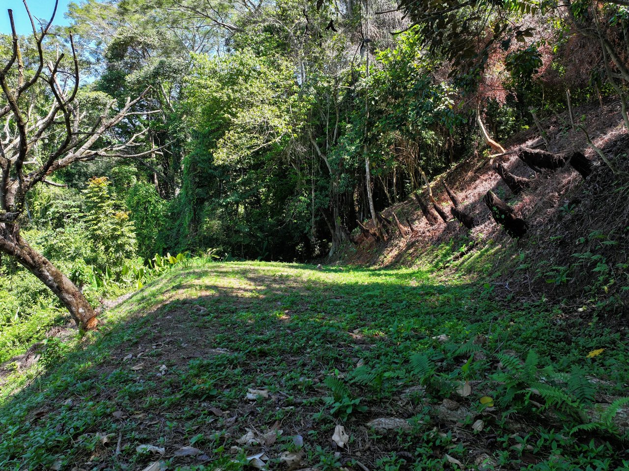 Unveil Paradise: Your Dream Homesite Awaits in Dominical, Costa Rica