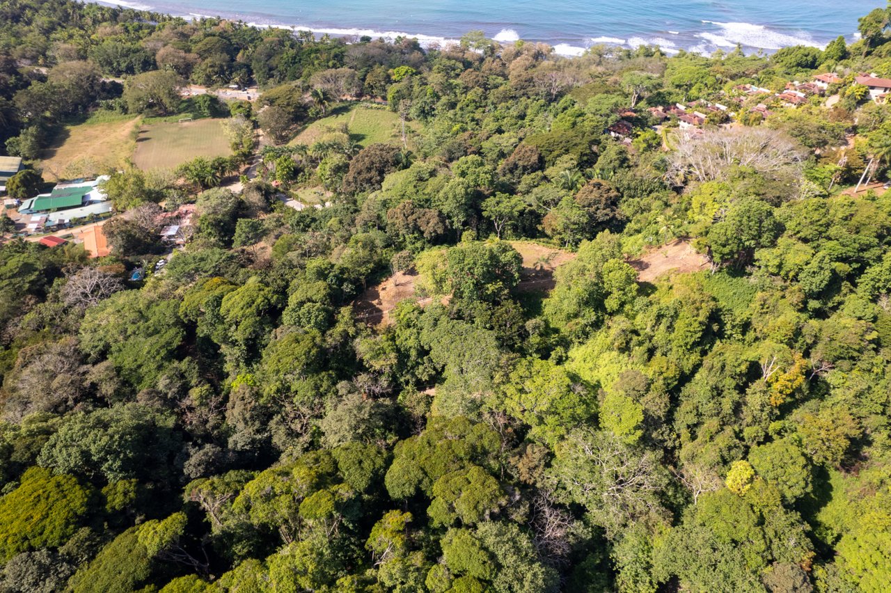 Prime Coastal Development Land, Dominical, Puntarenas