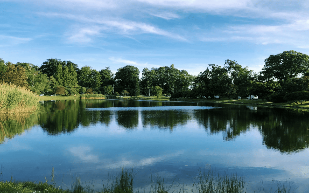 A Guide to Greenwich, CT Parks