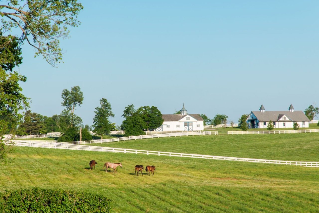 What to Look for Before Purchasing a Horse Property in Wisconsin