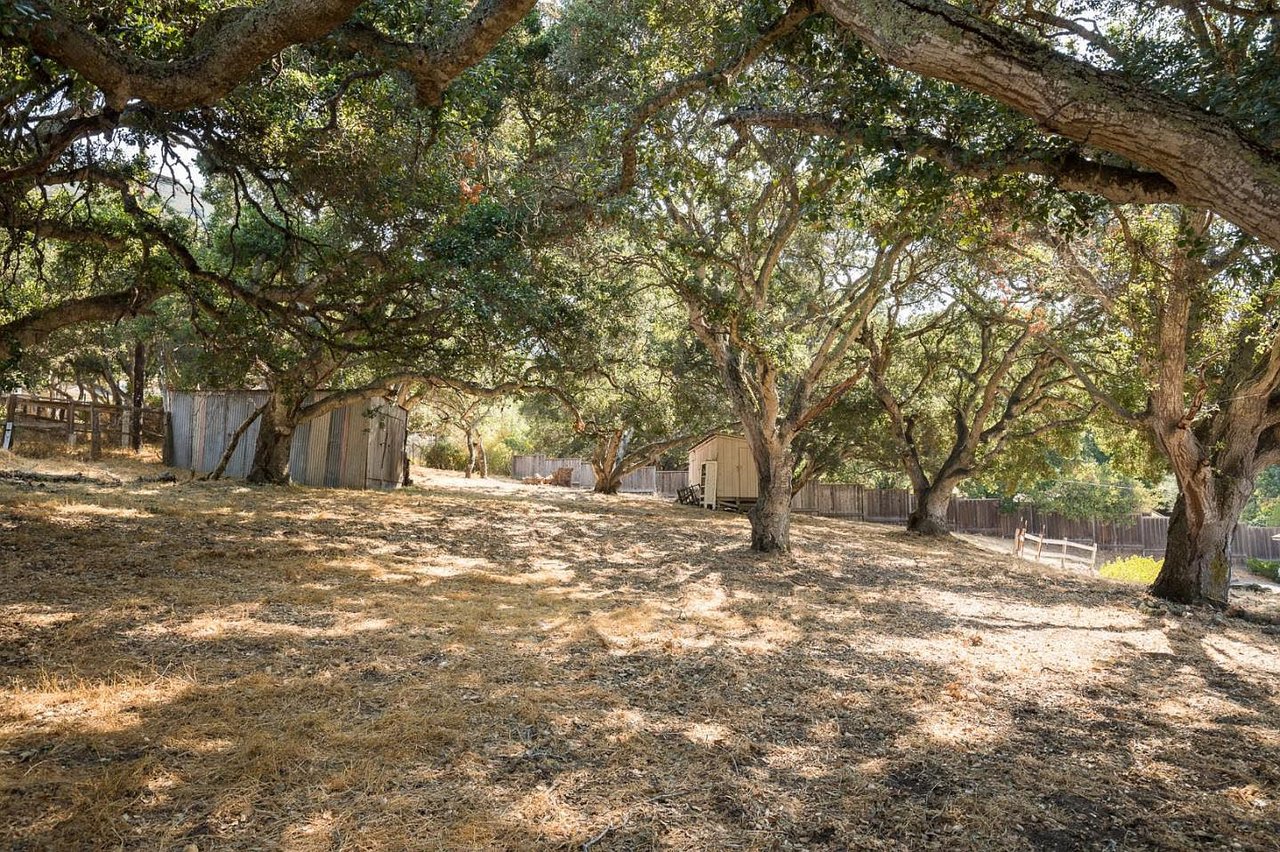 14 La Rancheria