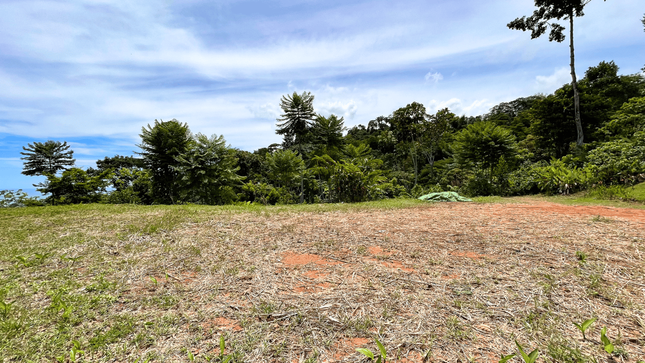 Front Ridge Land with Epic Ocean and Whale Tail Views