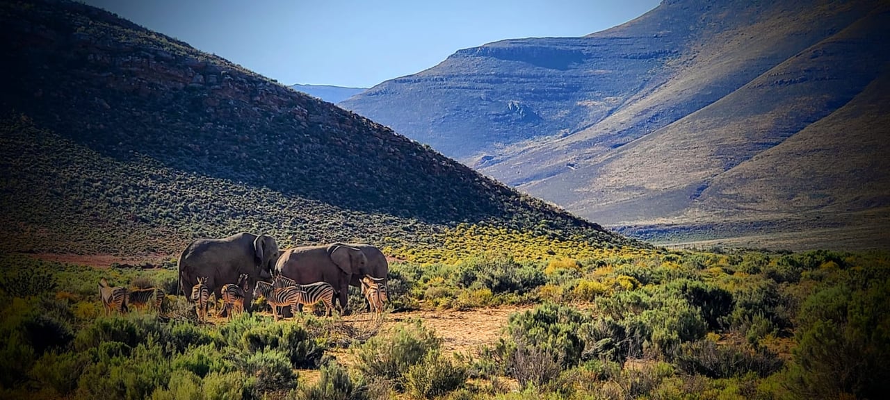 Cape Town, South Africa
