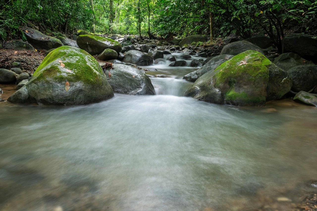 Casa Origen Hidden Away on 2.5 Acres of Land Bordered by a River!