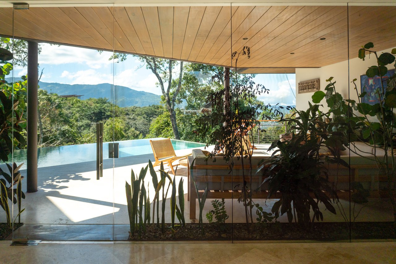 Modern Forest Infinity Pool Estate, Santa Ana, San Jose