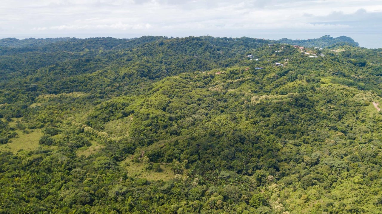 205 Acre Ranch W. Unsurpassed Ocean Views Right in Manuel Antonio!