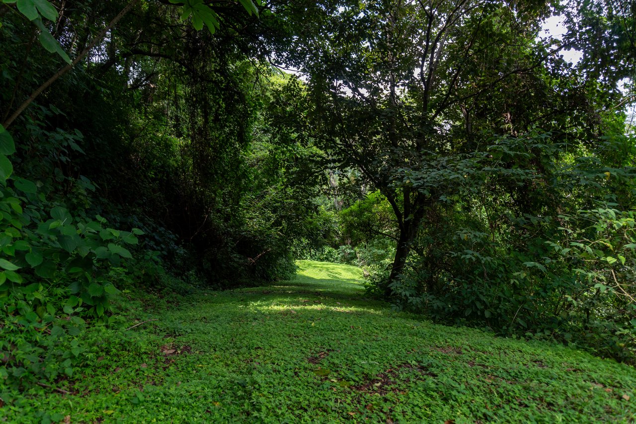 Subdivided Mountain View Land, Atenas, Alajuela