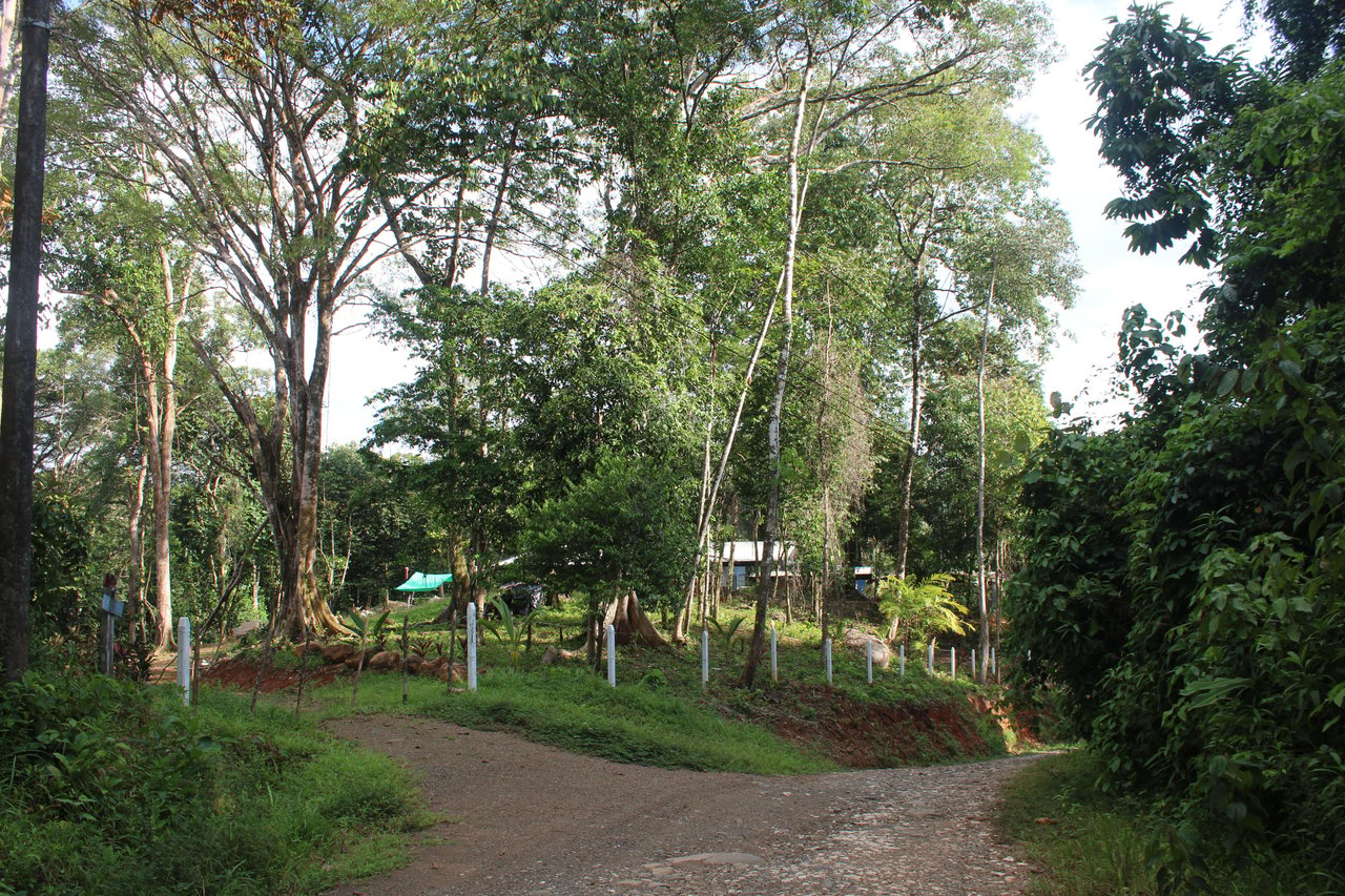 River Frontage Lot close to Uvita