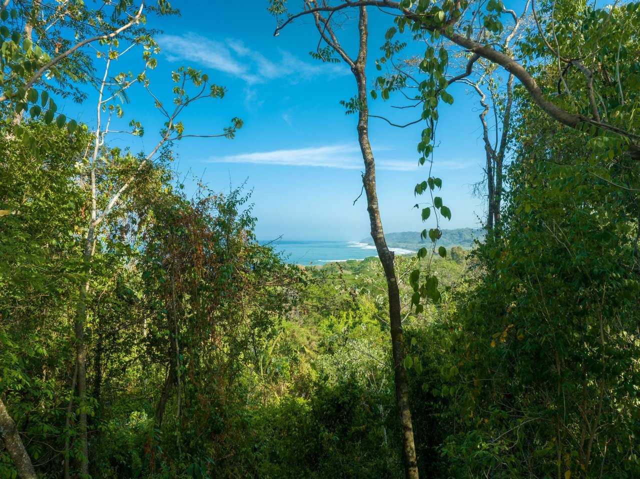 Large Development Land Lot, Santa Teresa, Puntarenas