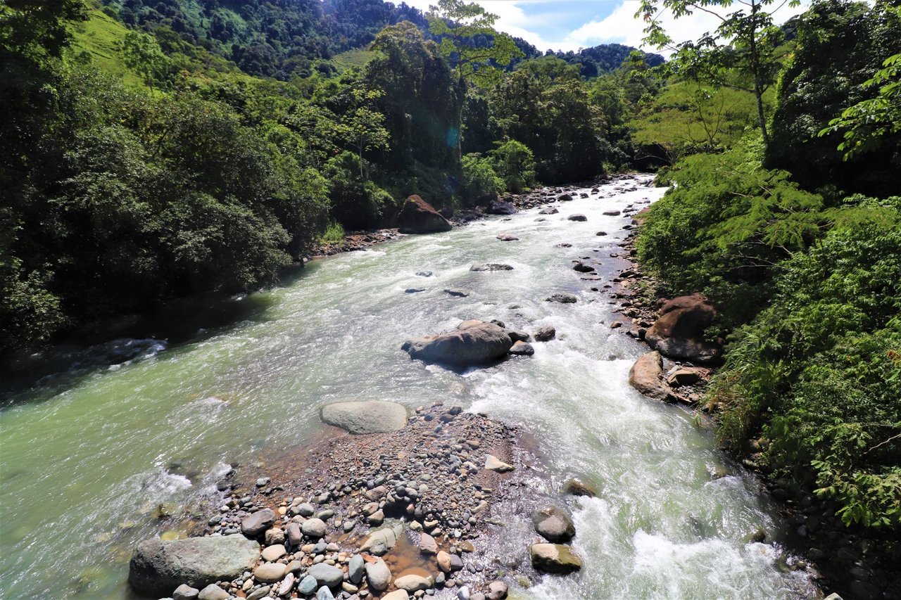 Riverfront Forest Farm, Perez Zeledon, San Jose
