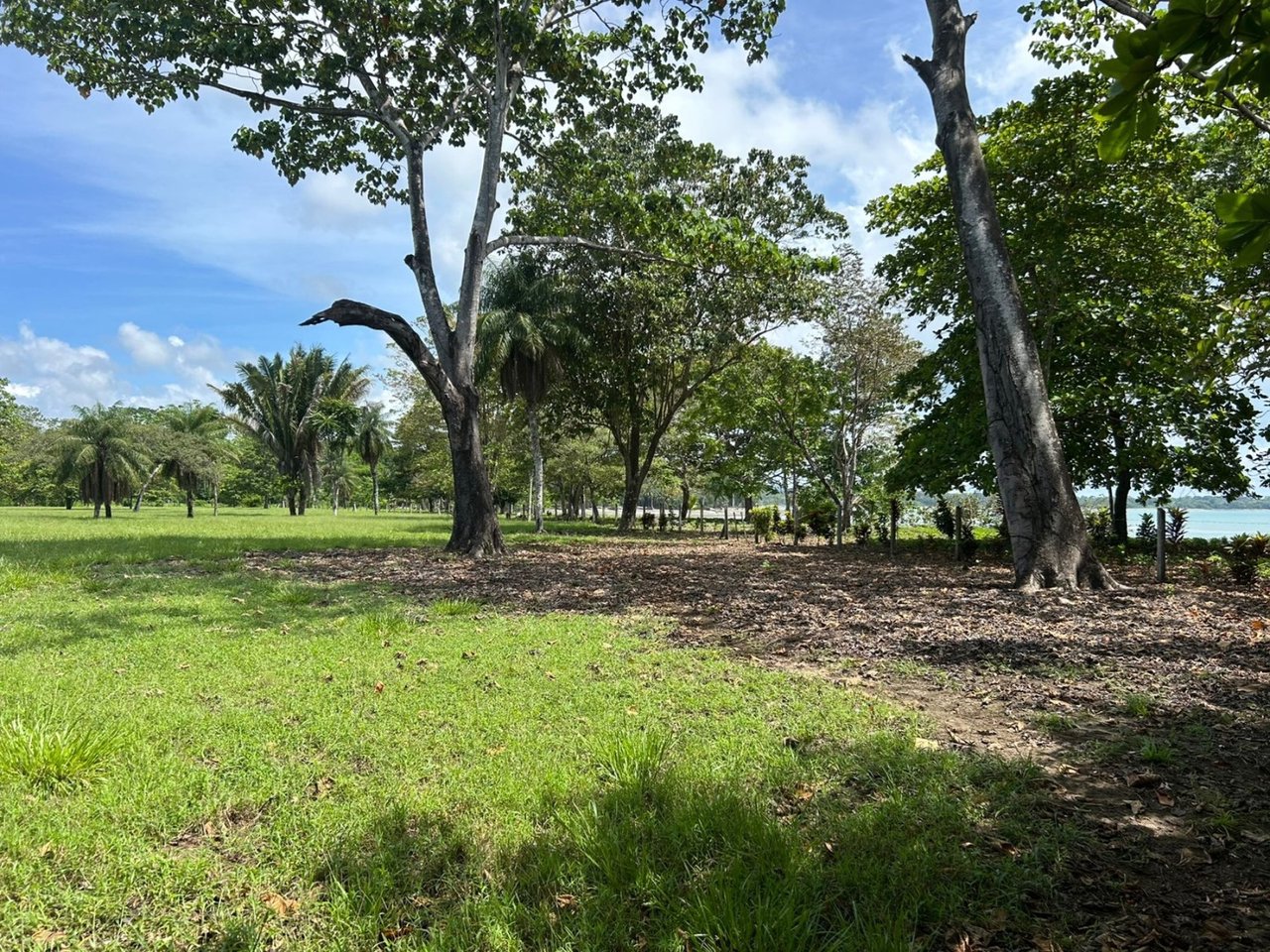 Titled Beachfront Development Land, Osa, Puntarenas