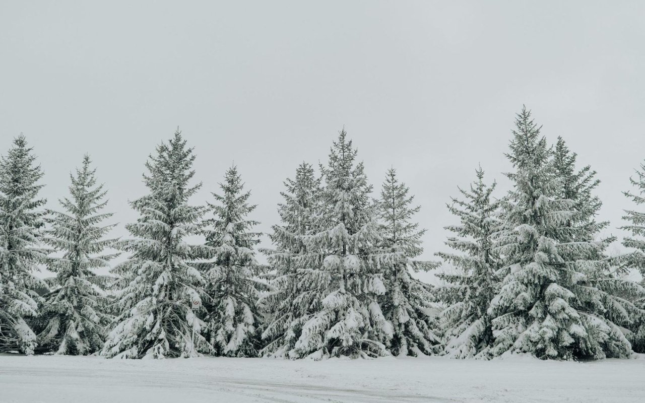 Cold Weather Guide to Bozeman, Montana: Embrace the Chill in Big Sky Country