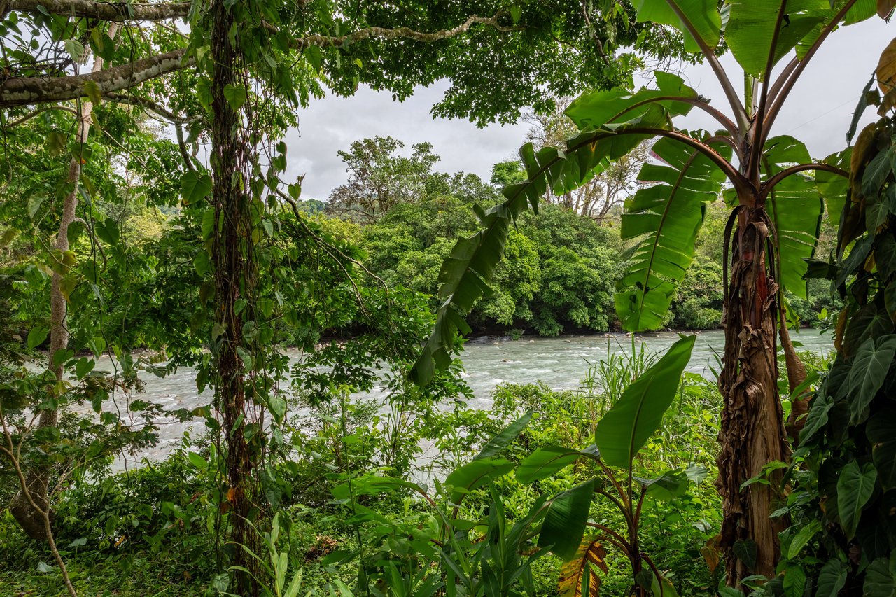 BARU RIVERFRONT HOME CLOSE TO THE BEACH IN DOMINICAL COSTA RICA