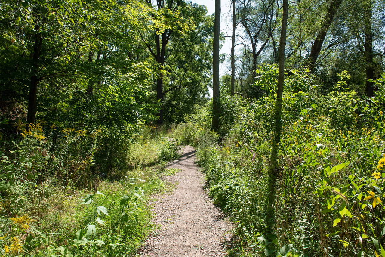 West Oakville image 3