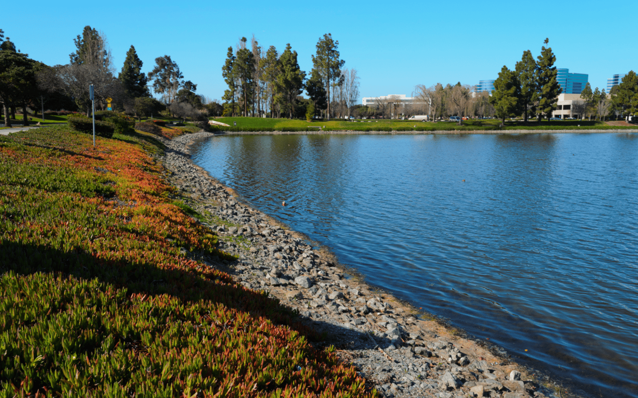 Things to Do in Redwood Shores, CA