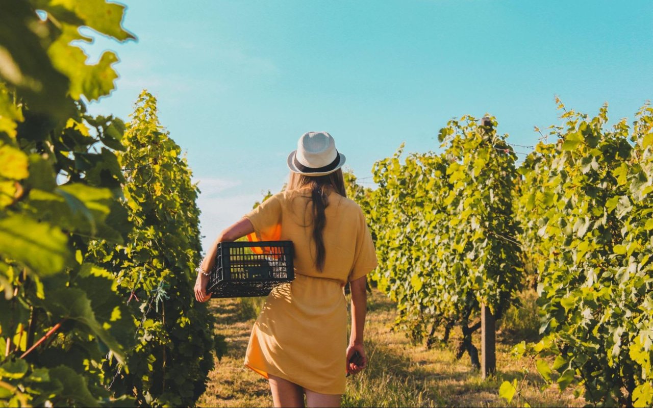 Ways to Enjoy the Outdoors in Healdsburg