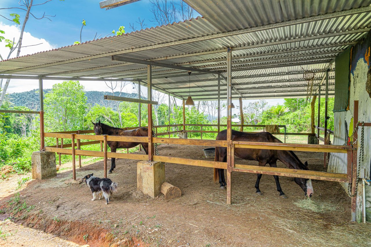 Hills of Portalon Building Site with Horse Stable, Portalon, Puntarenas