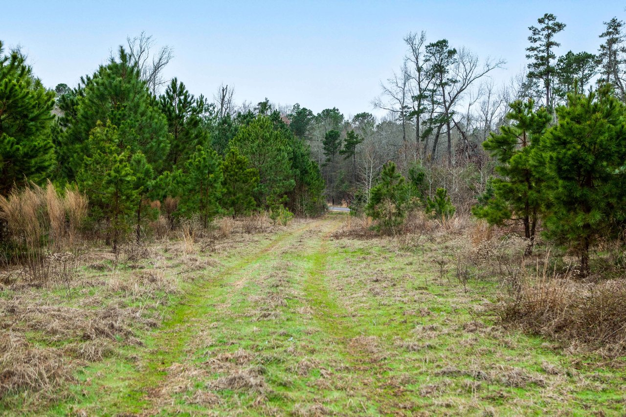 12.375 Acres, CR 222