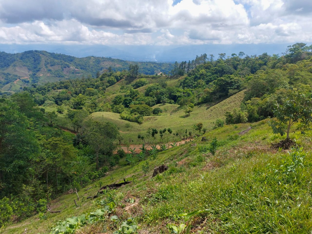 Ocean, Mountain and waterfall View Lot