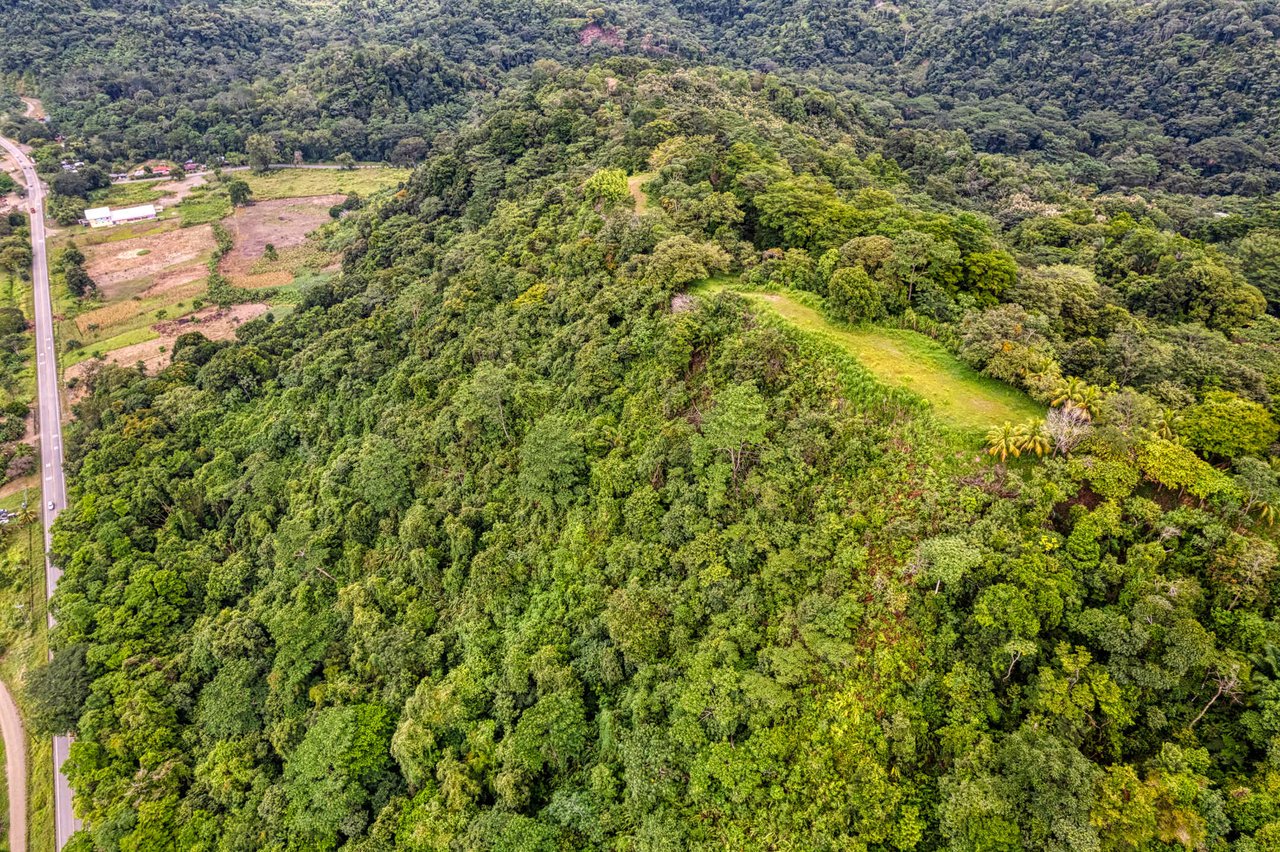 Coronado Estates Development Farm