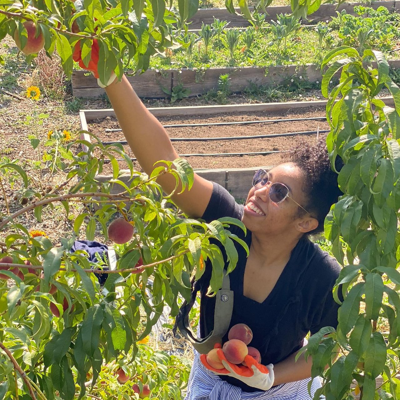 An Introduction to Urban Agriculture