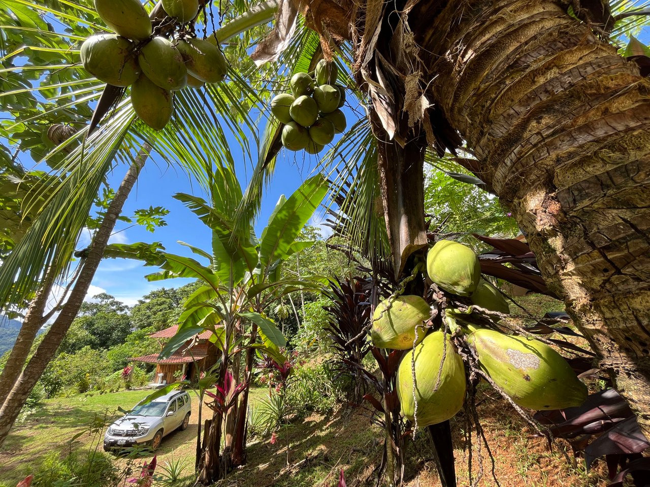 Costa Azul 120-degree Mountain View House With Costarican Wooden House as Lagniappe.