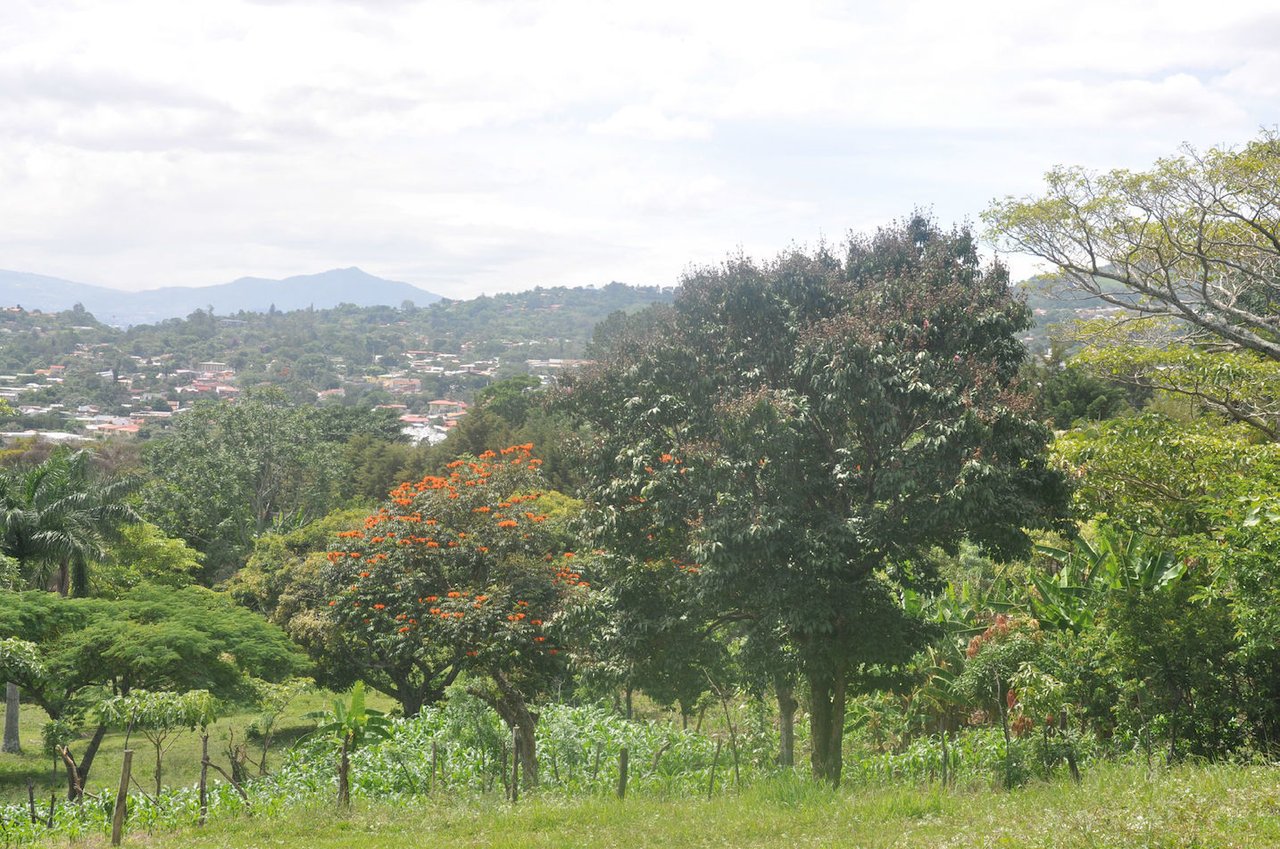 Prime Development Land, Escazu, San Jose