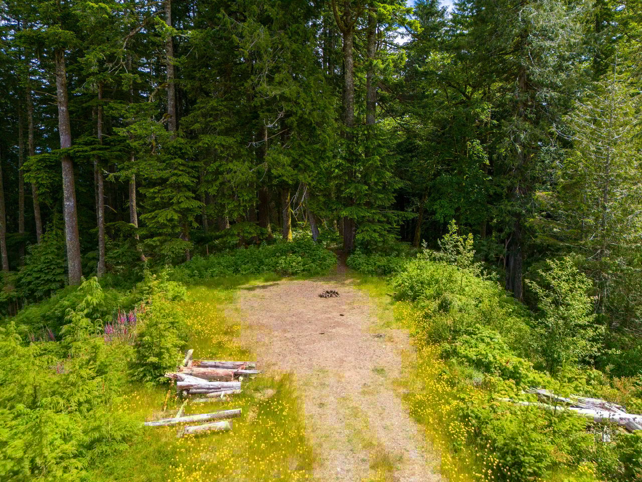 Cummins Creek Wilderness Overlook