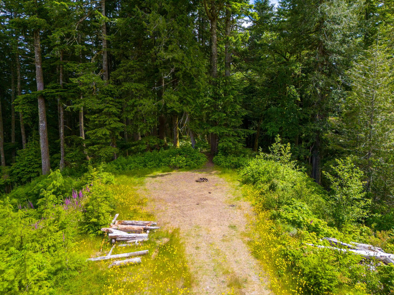 Cummins Creek Wilderness Overlook