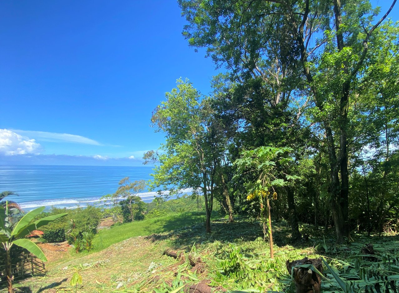 Ayacucho - Outstanding ocean view lot within walking distance to the beach! 