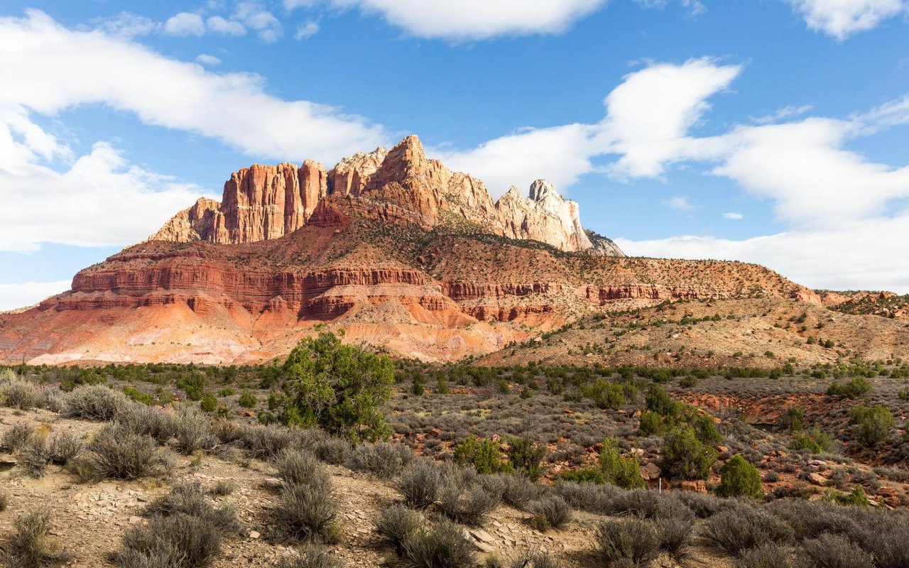 St. George