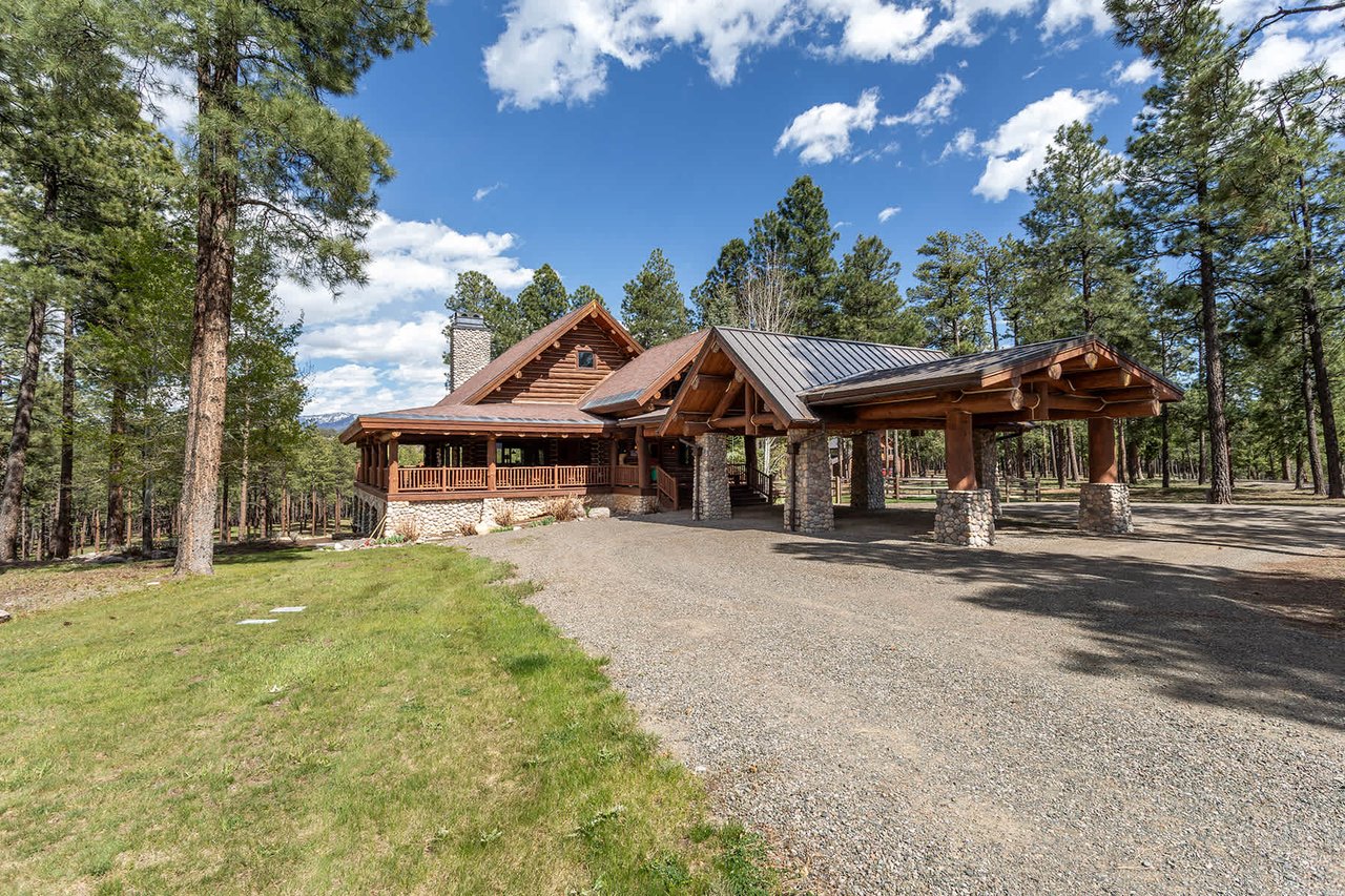 Watusi Ranch - Pagosa Springs, Colorado