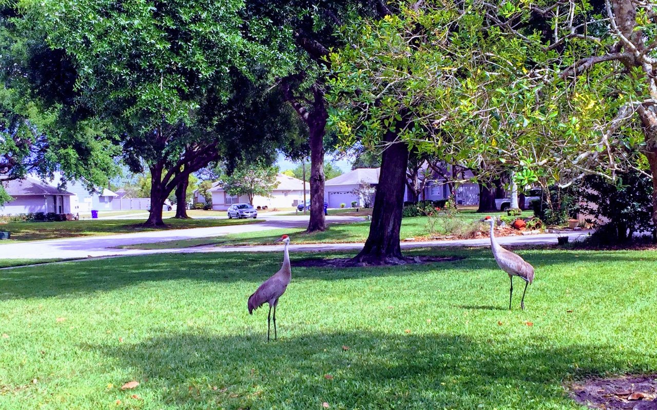 Lake Mary
