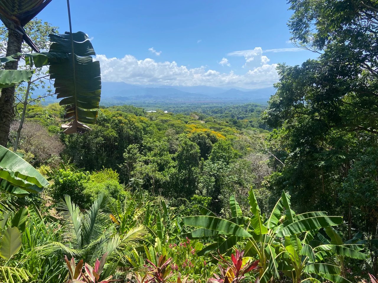 Gated Multi Unit Rental Estate, Manuel Antonio, Puntarenas